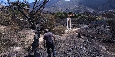 Άνδρας επιστρέφει σε καμένο οικισμό της Δυτικής Αττικής