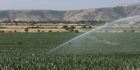 ποτισμα