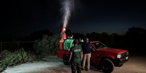 Ιός Δυτικού Νείλου: Νυχτερινοί ψεκασμοί στη Λούτσα από την Περιφέρεια Αττικής -Θα καλυφθούν 10.000 στρέμματα, [εικόνες και βίντεο]