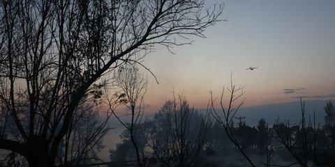 Καταστροφές μετά από τη φωτιά στη Σίβηρη