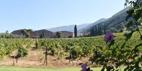 Achaia Clauss