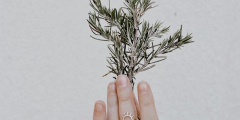 Με αύξηση 269% στις αναζητήσεις, το νερό από δεντρολίβανο αναδεικνύεται στο απόλυτο trend περιποίησης μαλλιών της σεζόν