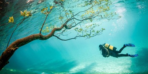 Η «Πράσινη Λίμνη» βρίσκεται στους πρόποδες ενός βουνού στην Αυστρία. Το περίεργο με αυτή τη λίμνη είναι ότι δημιουργείται μόνο για έξι μήνες κάθε χρόνο. Μόλις λιώσουν τα χιόνια από το βουνό, η στάθμη του νερού ανεβαίνει κατά δέκα μέτρα και καλύπτει μονοπά