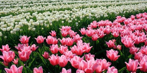 Καλωσορίζοντας την Ανοιξη