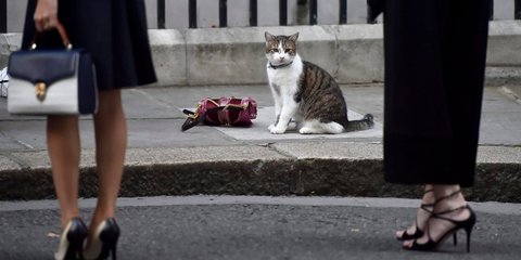 Φωτογραφία: ΑΠΕ-ΜΠΕ/EPA/HANNAH MCKAY