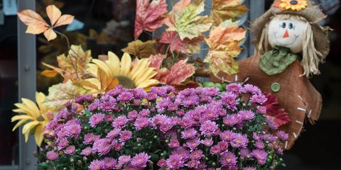 Φωτογραφία: ΑΠΕ-ΜΠΕ/EPA/PATRICK SEEGER