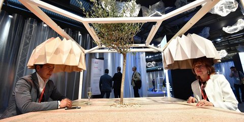 Ενα δέντρο στο τραπέζι