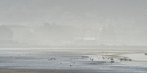 Ισχυρός παγετός στην Αργολίδα