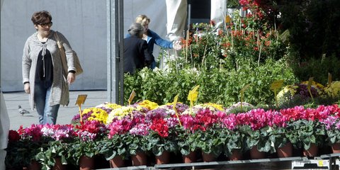 «Ανθισε» η Ομόνοια 