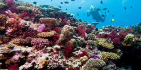 Οι καλύτεροι προορισμοί για γυμνισμό στην Ελλάδα [εικόνες]