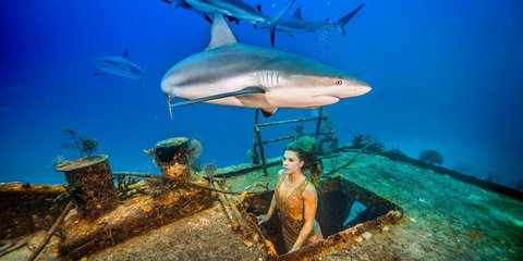 Alex Socci/Barcroft Animals