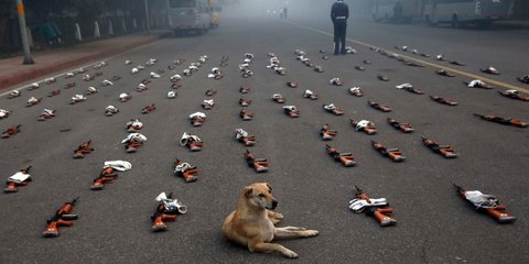 Ο σκύλος και τα όπλα του
