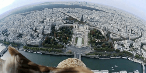 Το Παρίσι από τη ράχη ενός αετού: Μία εκπληκτική εναέρια λήψη