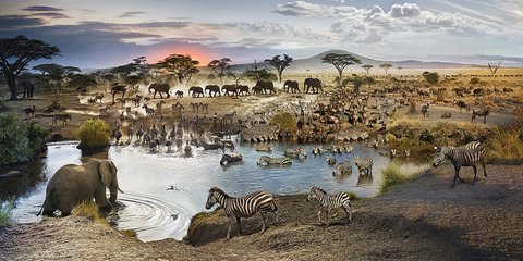 Δεν είναι μία αλλά σύνθεση 50 φωτογραφιών -Ελήφθησαν στο ίδιο σημείο μέσα σε 26 ώρες... 