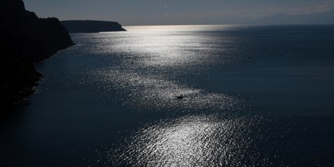 Κι όμως, από κάπου μας κρυφοκοιτάζει η Ανοιξη -Φωτογραφία: Eurokinissi-ΠΑΠΑΔΟΠΟΥΛΟΣ ΒΑΣΙΛΗΣ