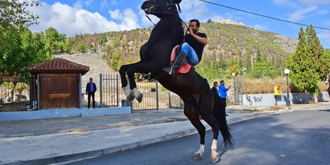«Σούζες» με άλογο στο Αργος