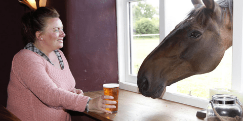 Αλογο έχει γίνει αγαπημένος θαμώνας σε παμπ της Ουαλίας