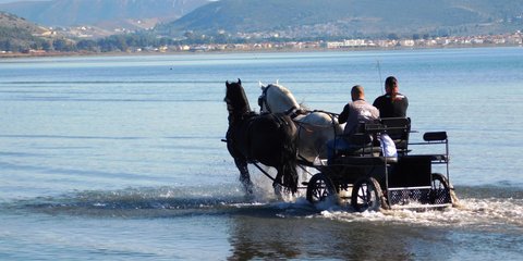 Βόλτα με άμαξα στην παραλία Ν. Κίου στην Αργολίδα / EUROKINISSI