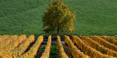 Το πέρασμα σε μία άλλη εποχή