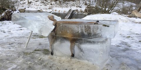 Φωτογραφία: Johannes Stehle/dpa via AP