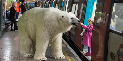 Αρκούδες στο Μετρό του Λονδίνου...
