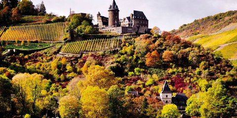 Τα χρώματα του φθινοπώρου στη γερμανική ύπαιθρο με φόντο ένα παλιό κάστρο -Φωτογραφία: AP Photo/Michael Probst