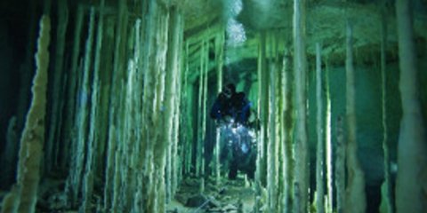 Αστροπύλη στις Μπαχάμες - Ένας άλλος κόσμος κάτω από τη θάλασσα [εικόνες] 