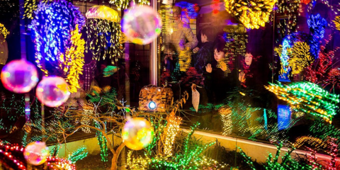 Χριστούγεννα στον Βοτανικό Κήπο της Ουάσινγκτον