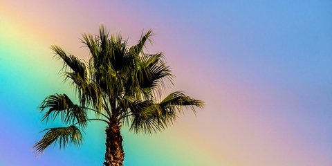 Σαν πίνακας ζωγραφικής