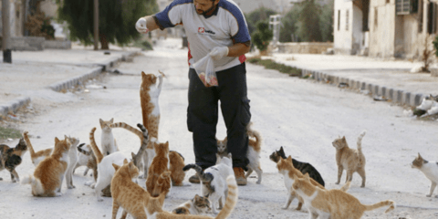 Ανθρωπιά στα συντρίμμια της πόλης: Αψηφά τον κίνδυνο για να φροντίσει τα αδέσποτα