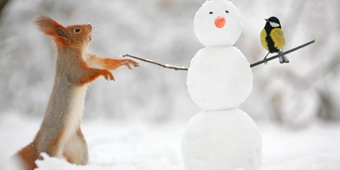 Στην καρδιά του χειμώνα