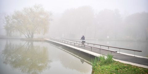 Πεταλιές στην ομίχλη