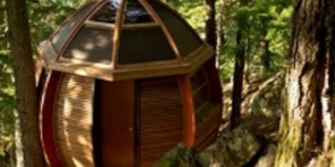 Κατασκόπευε εκατομμυριούχους μέσα από το δεντρόσπιτό του [εικόνες-βίντεο]