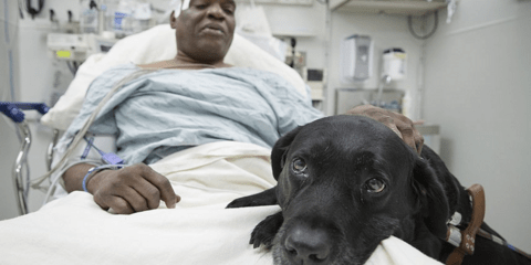 Ο καλύτερος φίλος στα δύσκολα φαίνεται: Σκύλος πήδηξε στις ράγες για να σώσει το τυφλό αφεντικό του