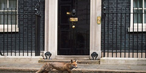 Θα αλλάξει ή όχι ο ένοικος του αριθμού 10 της Downing Street;