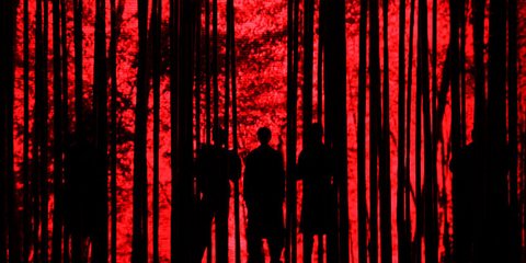 Oι Dsquared2 παρουσιάζουν την κολεξιόν τους για το 2016-2017 στο Μιλάνο...