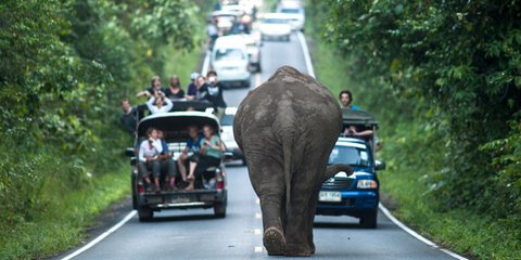 Τρόμος από το αντίθετο ρεύμα... 