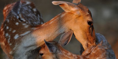 Εικόνες από την ελληνική φύση...