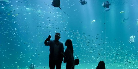 Selfie με τα πλάσματα του βυθού