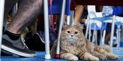Σε εξέλιξη η επιστροφή των εκδρομέων του Αυγούστου