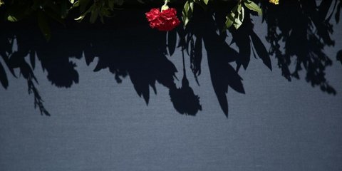 Εργατική Πρωτομαγιά στο Σύνταγμα