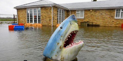 «Η εικόνα της ημέρας»: Καρχαρίας έξω από πλημμυρισμένα σπίτια στην Αγγλία [εικόνα]