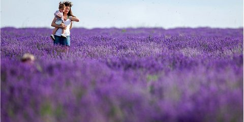 Φεστιβάλ Λεβάντας στη Μολδαβία! 