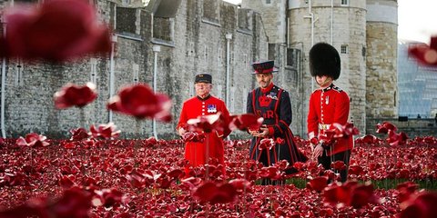 Κόκκινες παπαρούνες για τα 100 χρόνια από τον Α' Παγκόσμιο Πόλεμο