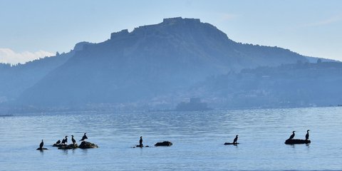 Φωτογραφία: ΑΠΕ/ΜΠΟΥΓΙΩΤΗΣ ΕΥΑΓΓΕΛΟΣ