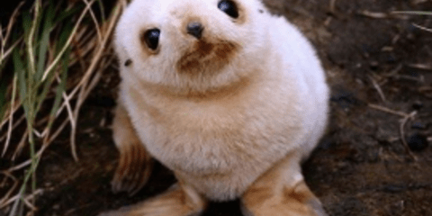 Τα καλύτερα μωρά ποζάρουν στο φακό και σας αφήνουν άφωνους [εικόνες]