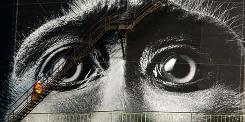 Τελευταίο τσεκ πριν τα εγκαίνια της έκθεσης «Wonders of Nature» στη Γερμανία... 