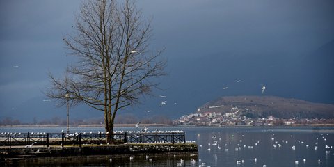 Η λίμνη Ιωαννίνων σαν καρέ βγαλμένο από ταινία του Αγγελόπουλου -Φωτογραφία: ΑΝΤΩΝΗΣ ΝΙΚΟΛΟΠΟΥΛΟΣ/EUROKINISSI