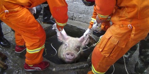 Η εικόνα της ημέρας