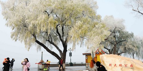 Ερχεται χειμώνας